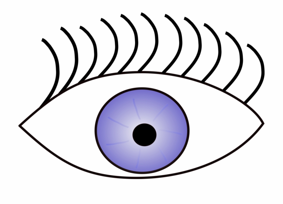 Googly Eyes Human Eye Eye Color Visual Perception.