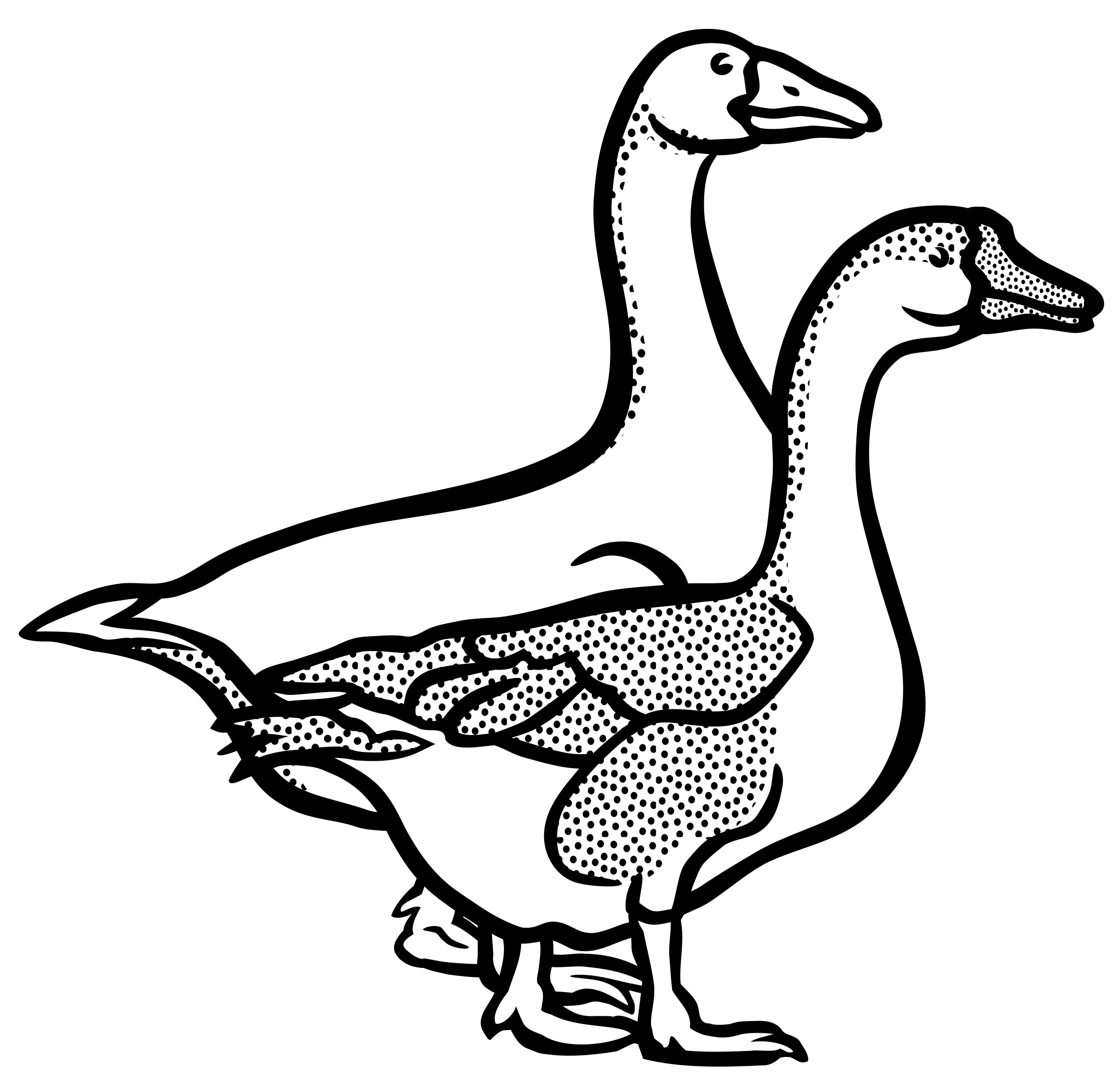 Goose clipart black and white 4 » Clipart Station.