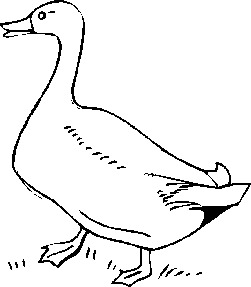 Free Geese Cliparts, Download Free Clip Art, Free Clip Art on.