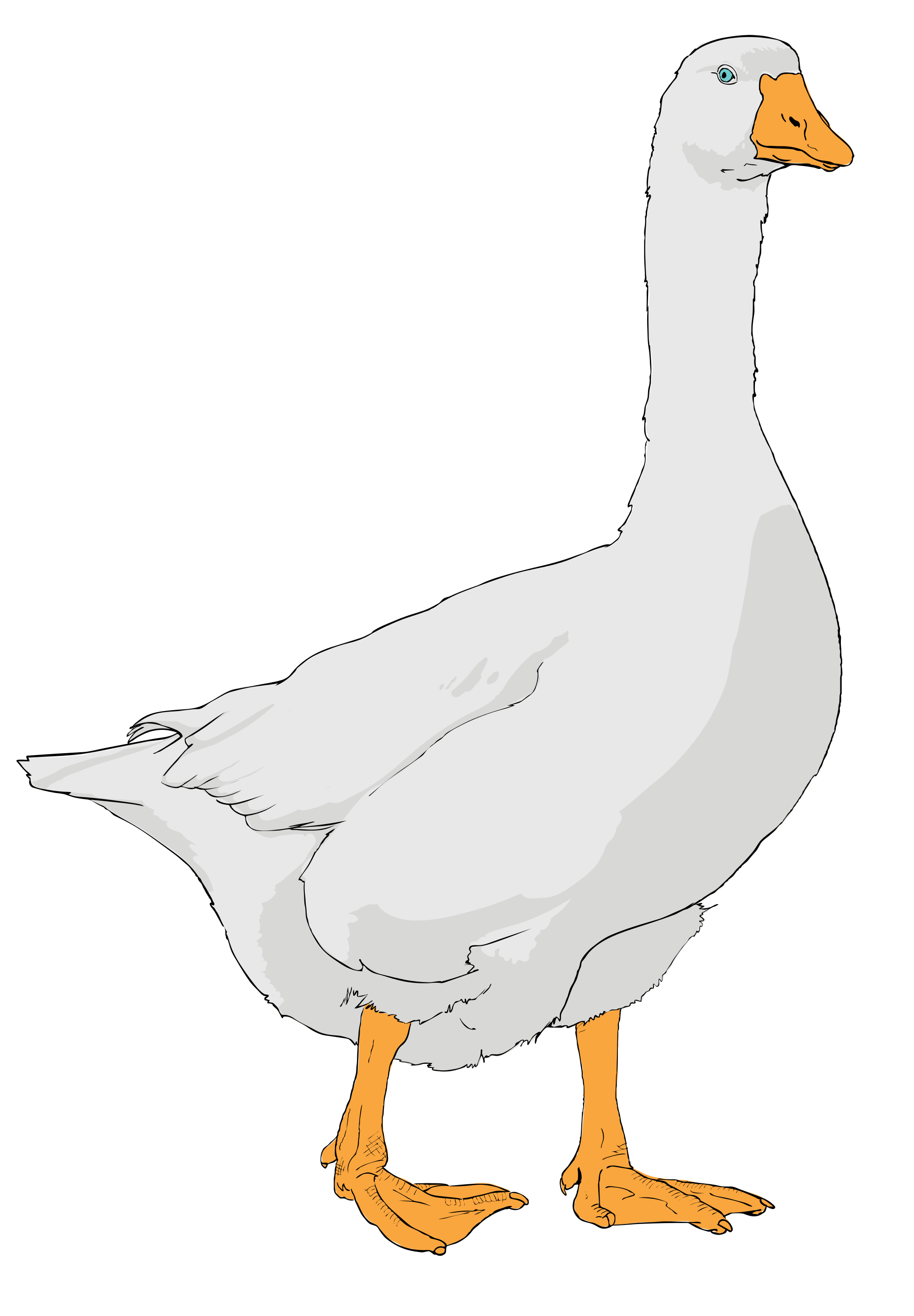Cute Goose Clipart 10 Free Cliparts Download Images On Clipground 2023