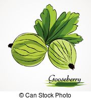 Gooseberry Clip Art and Stock Illustrations. 860 Gooseberry EPS.