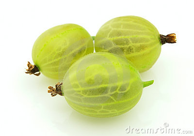 Gooseberries clipart 20 free Cliparts | Download images on Clipground 2024