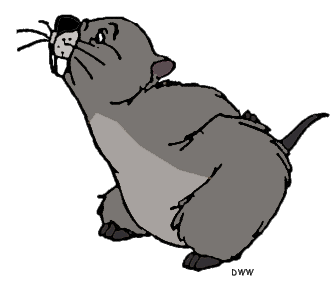 Disney's Gopher Clip Art.