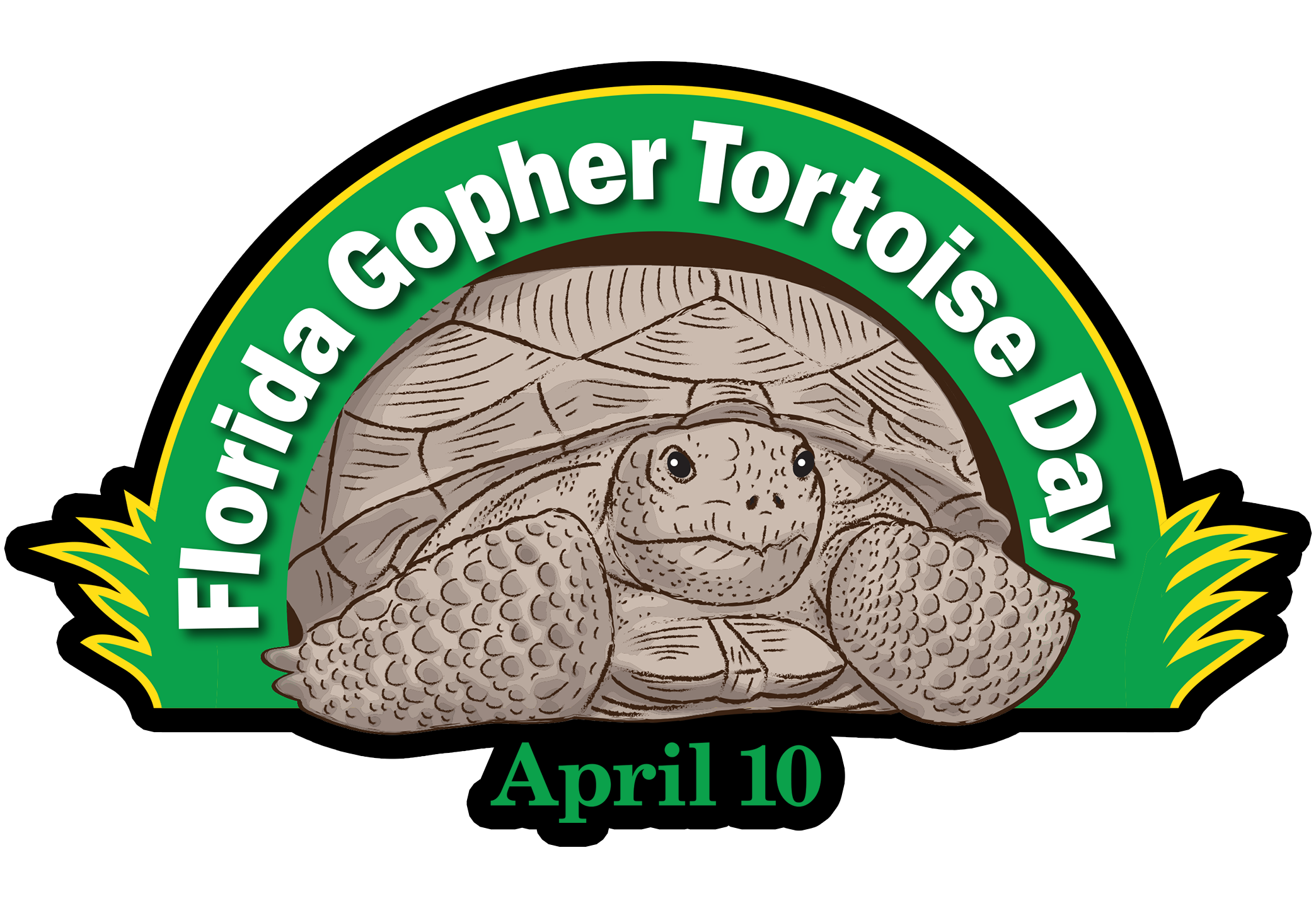 Gopher tortoise clipart 16 free Cliparts | Download images on ...