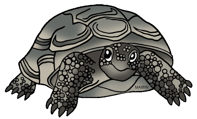 Gopher tortoise clipart 16 free Cliparts | Download images on ...