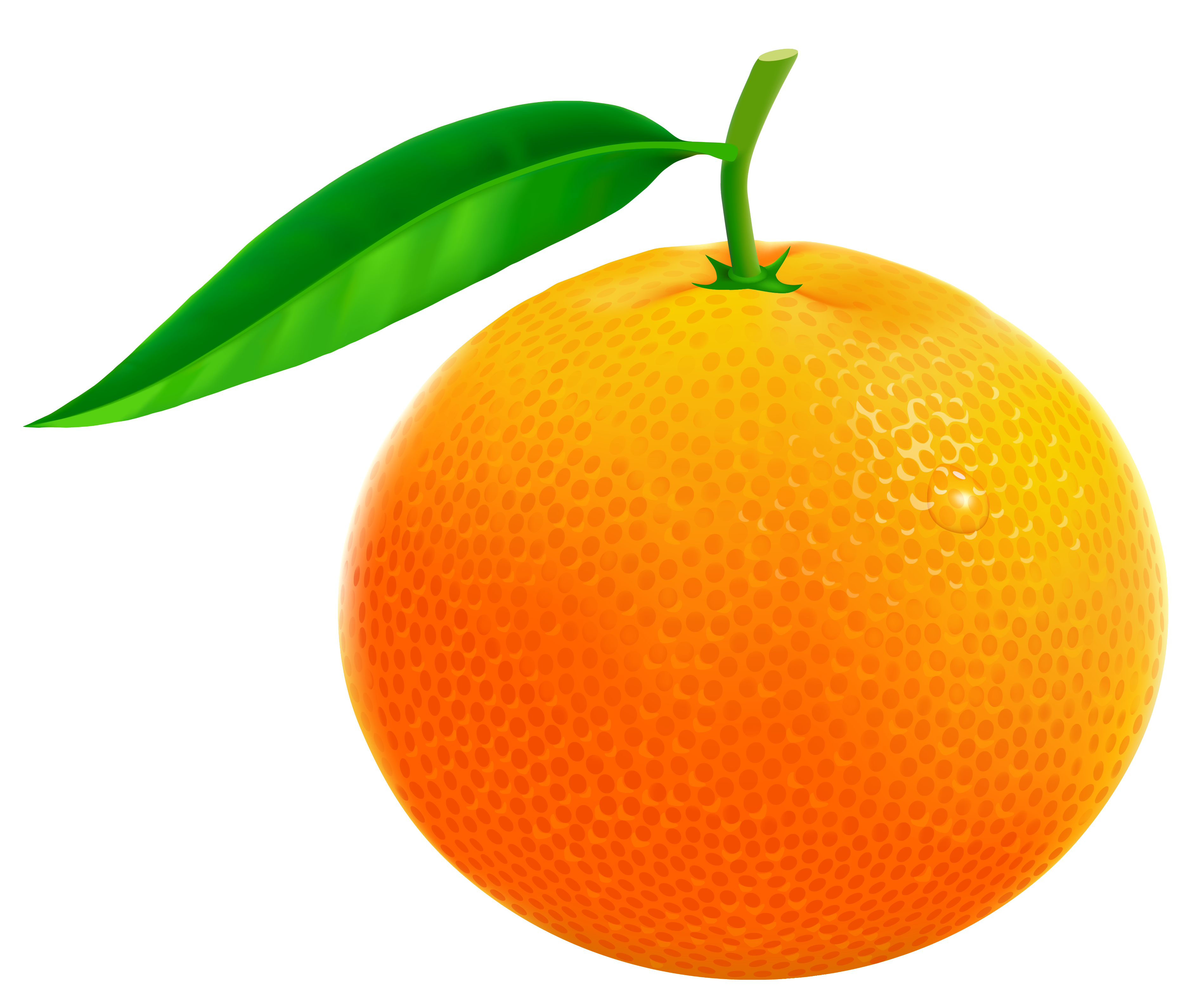 Orange PNG Vector Clipart Image.