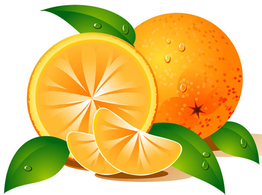 Orange Clipart & Orange Clip Art Images.