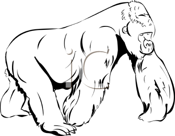 Gorilla Clip Art Black And White.