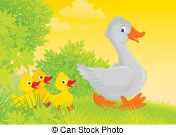 Goslings Illustrations and Clip Art. 120 Goslings royalty free.
