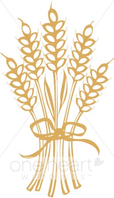 Harvest Field Clipart.
