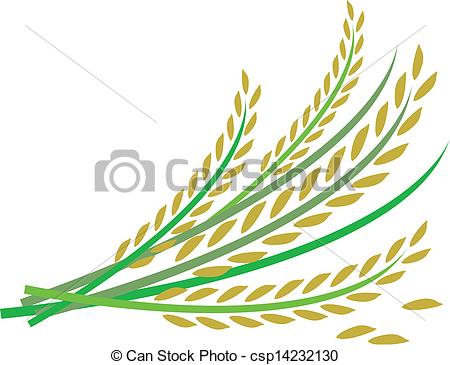 Grain Of Rice Clipart.
