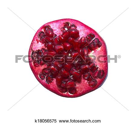 Stock Image of Pornum granatum k18056575.