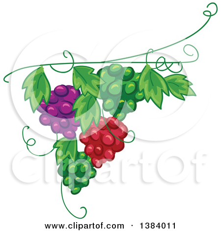 Clipart of Grape Vine and Floral Corner Borders.