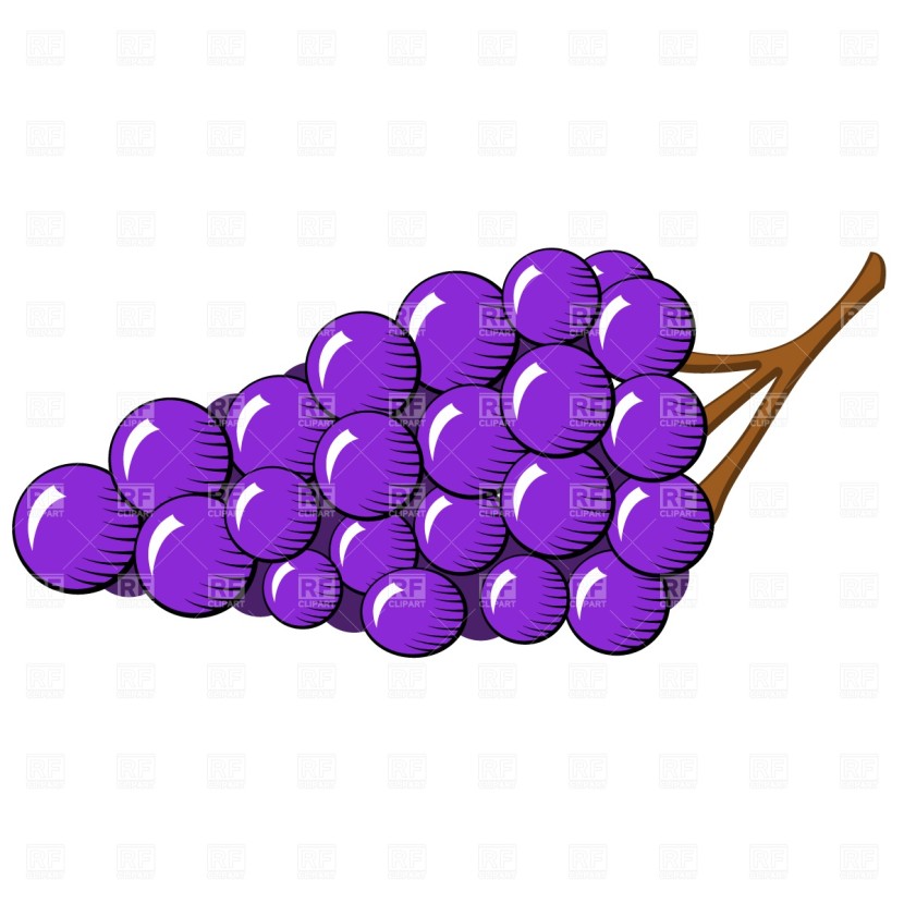 Grapes Clipart.
