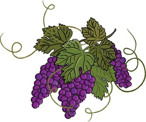 1000+ images about Grape Art on Pinterest.