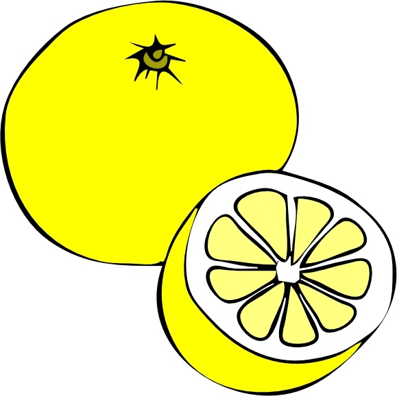 Grapefruit clip art Free vector in Open office drawing svg ( .svg.