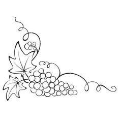 Grapes graphic on grape vines coloring pages and clip art.