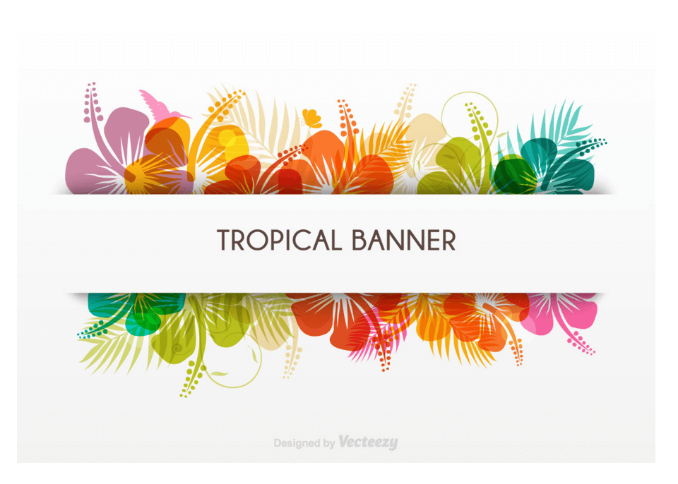 graphic banner design png 10 free Cliparts | Download images on