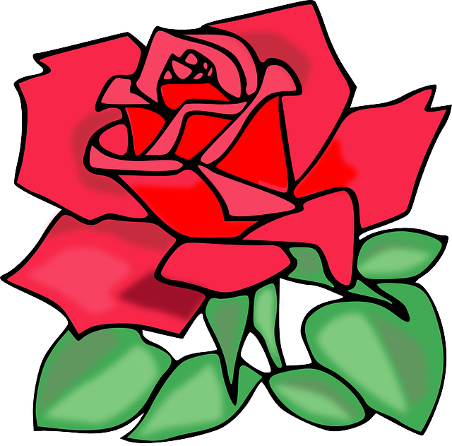 Free vector graphic: Rose, Flower, Red, Valentine, Love.
