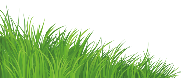 Grass Element PNG Clipart Picture.