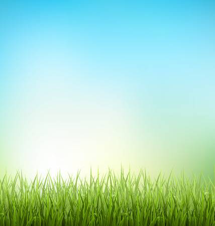 209,892 Grass Background Cliparts, Stock Vector And Royalty Free.