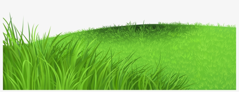 Grass Background PNG Images.