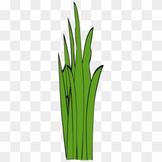 Blades Of Grass PNG Images, Free Transparent Image Download.
