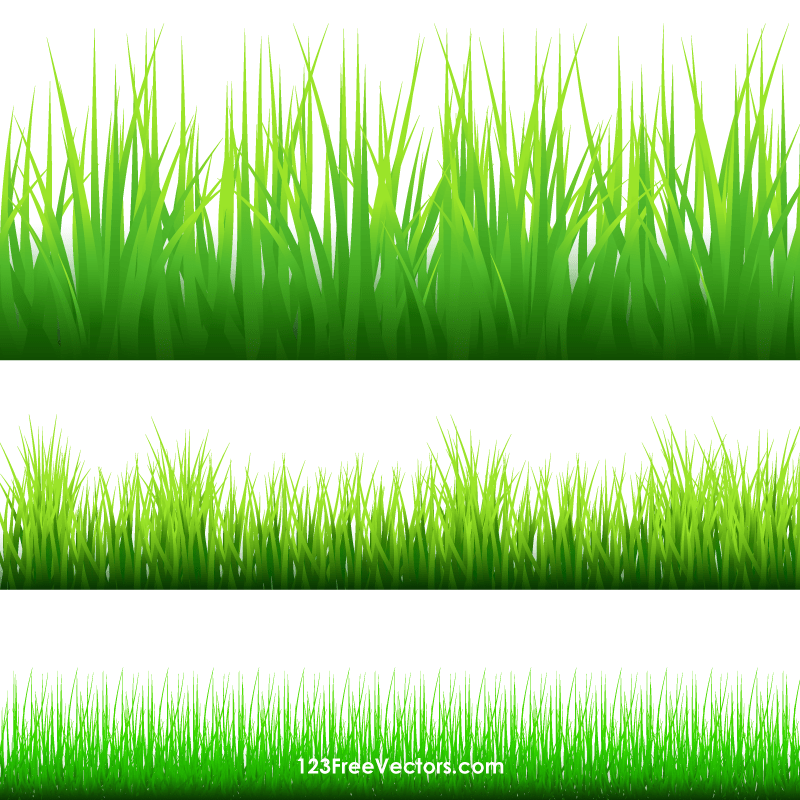 Grass Border Clipart 10 Free Cliparts Download Images On Clipground 2024 1835