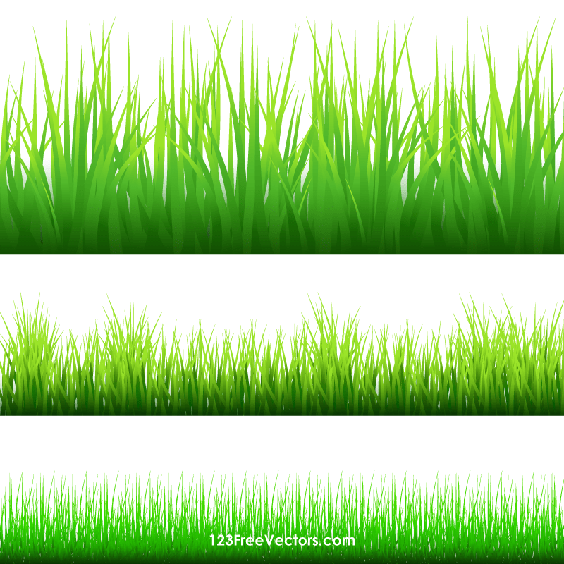 Grass Border Clipart 10 Free Cliparts Download Images On Clipground 2023