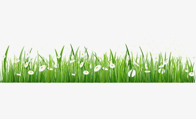 grass border png 10 free Cliparts | Download images on Clipground 2021