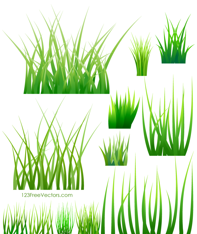 Green Grass Vector.