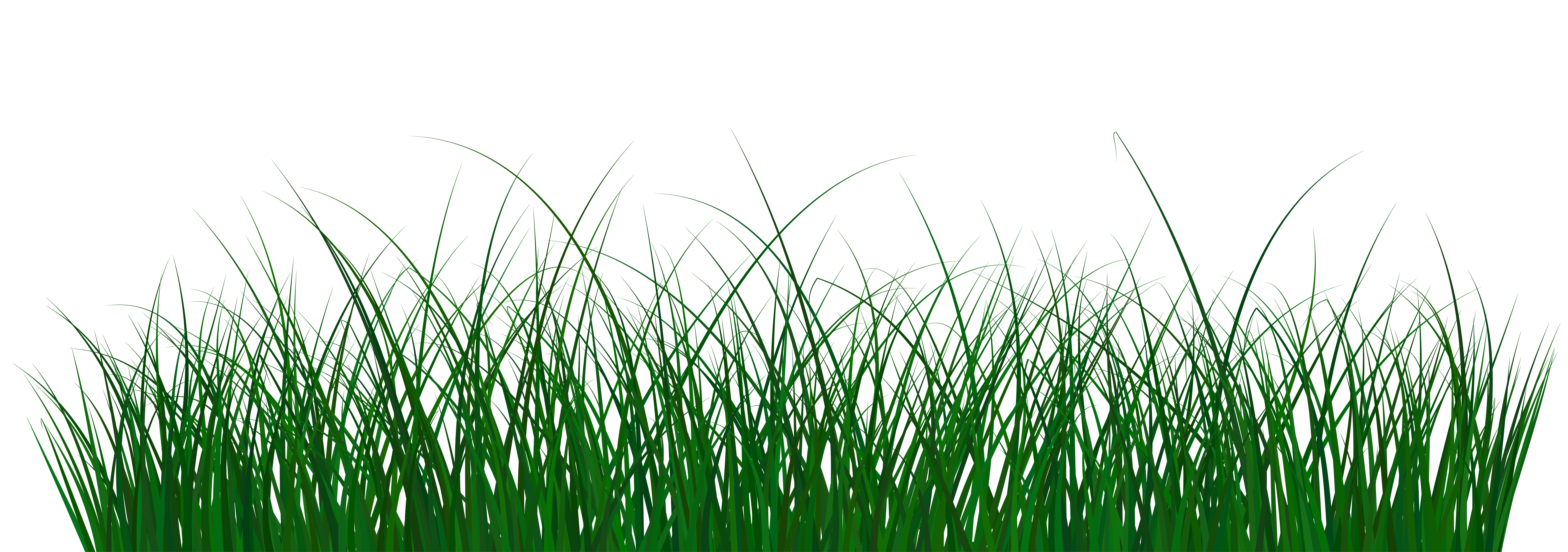 Green Grass PNG Clip Art Image.