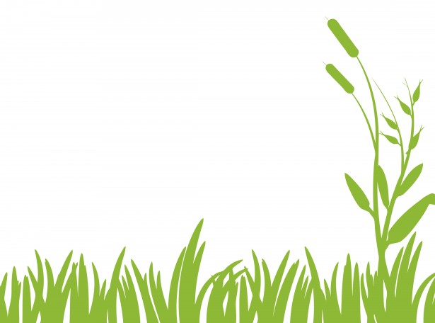 Green Grass Clipart Free Stock Photo.