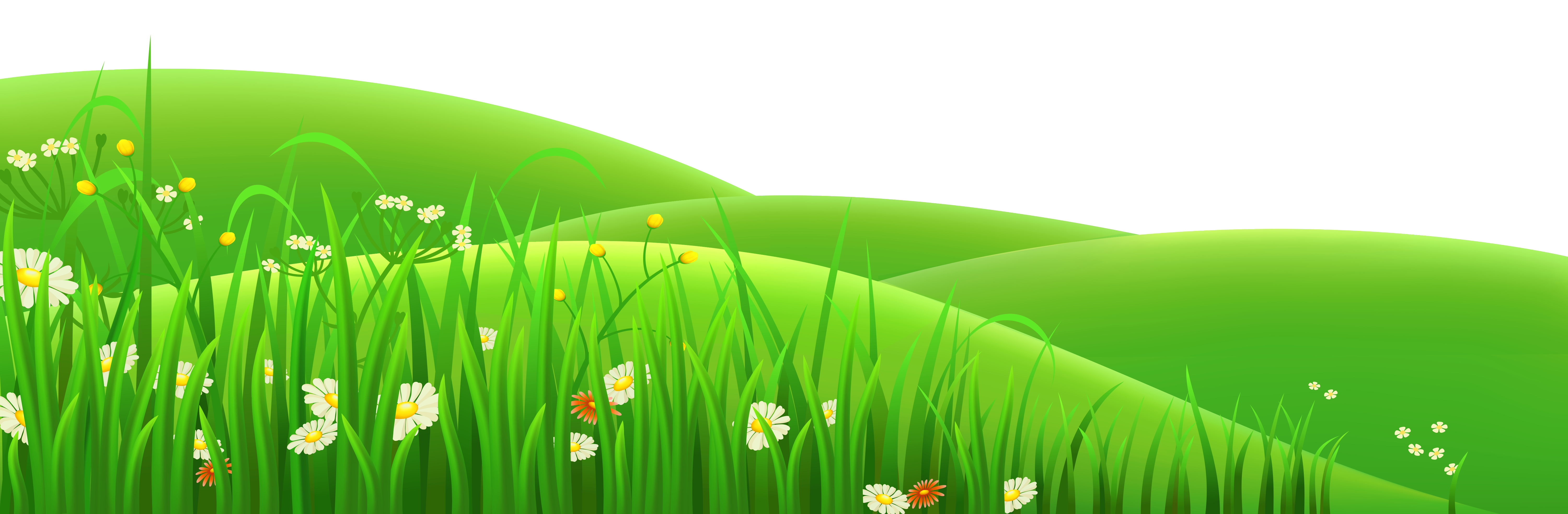Grass green clipart 20 free Cliparts | Download images on Clipground 2022