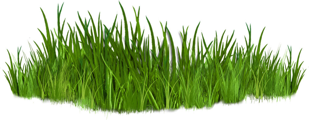 Golf clipart grass hd, Golf grass hd Transparent FREE for.