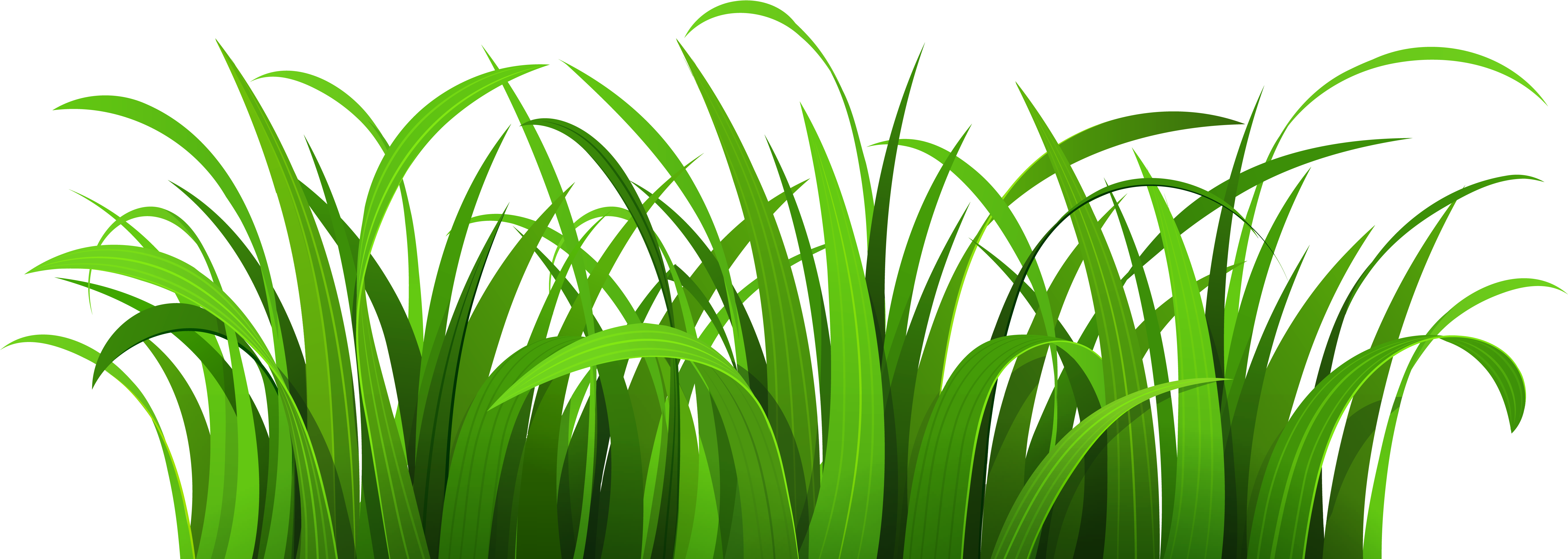 Free Transparent Grass Clipart, Download Free Clip Art, Free.