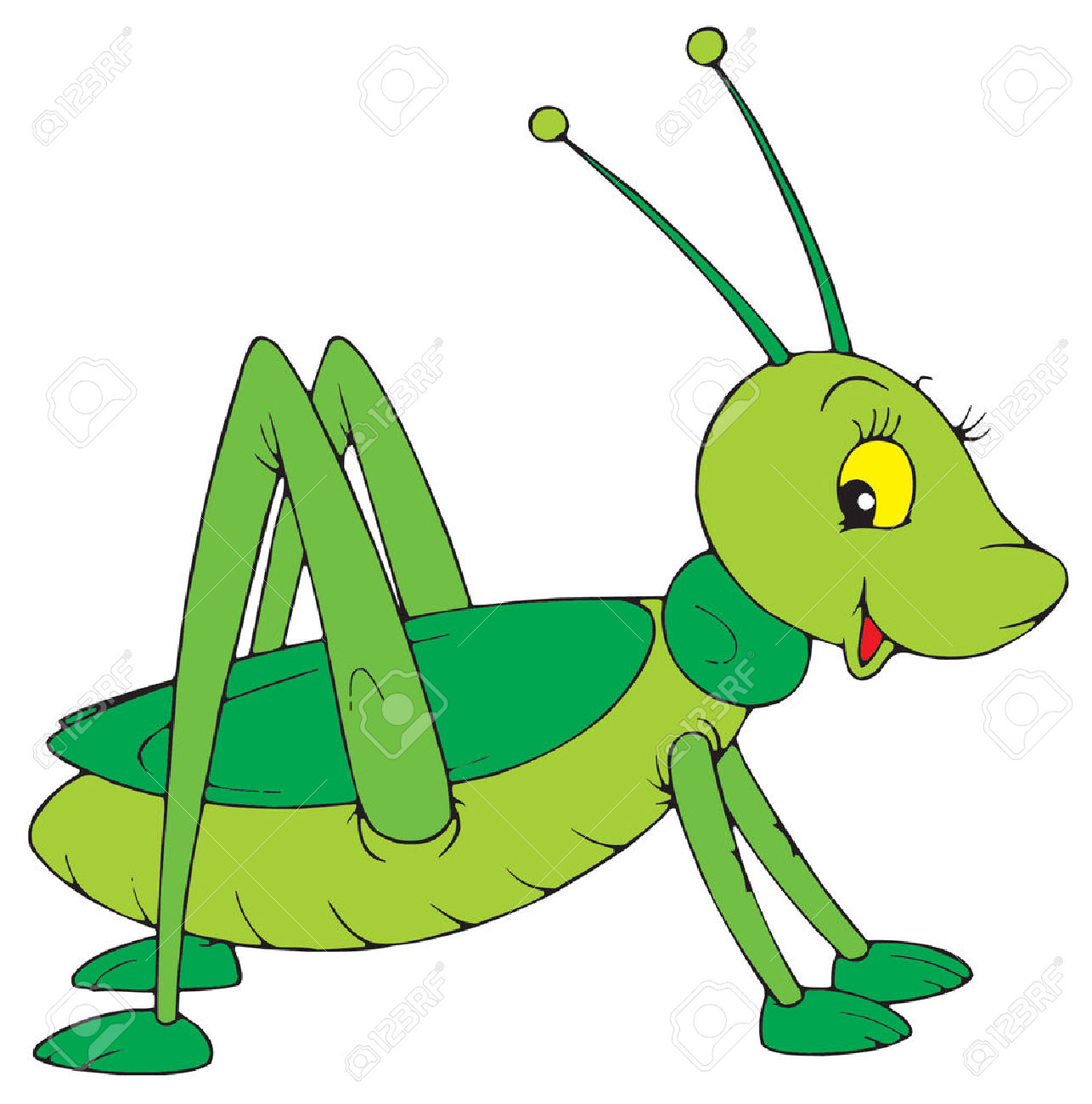 Grasshopper insect clipart.