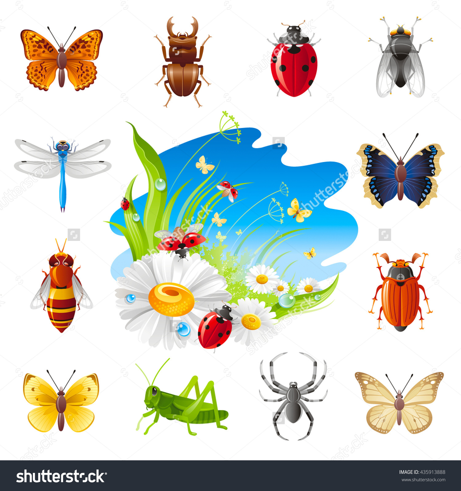 Insect Summer Nature Icon Set Illustration Stock Vector 435913888.