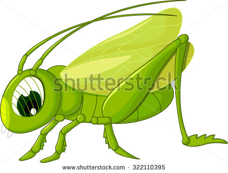 Grasshopper Stock Photos, Royalty.