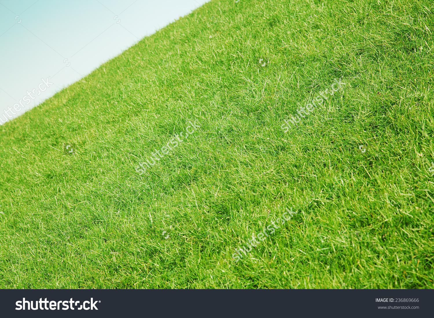 Inclined Slope Green Grass Blue Sky Stock Photo 236869666.