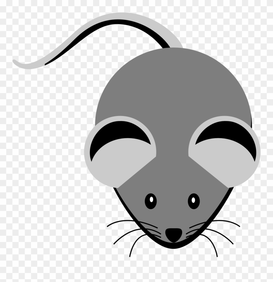 Rat Clipart Gray Mouse.