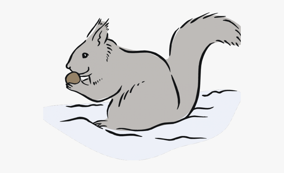 Gray Squirrel Clipart Cute Free Clipart On.