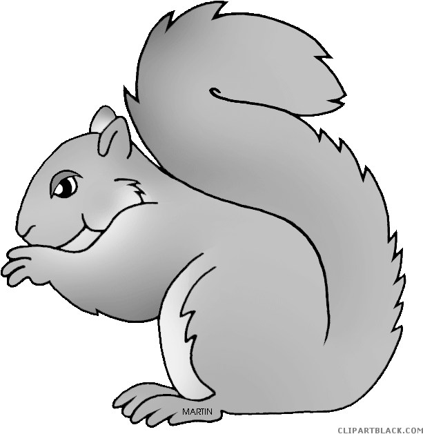 Grey Squirrel Clipart Grey Squirrel Clipart Grey Squirrel.
