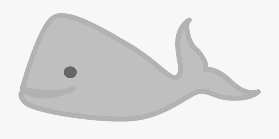 Free Image On Pixabay Whale Sea Animal Ⓒ.