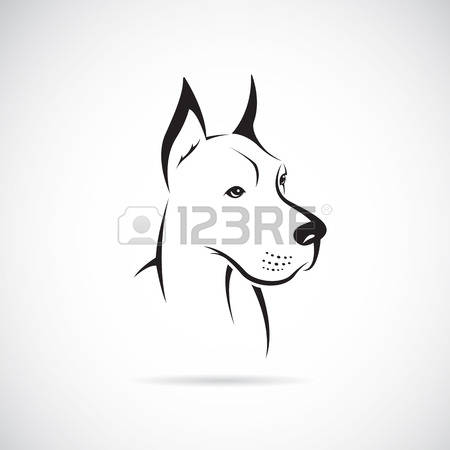 570 Great Dane Stock Illustrations, Cliparts And Royalty Free.
