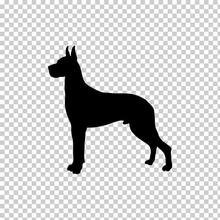 Great Dane Boxer Puppy Newfoundland dog Greyhound, GREAT.