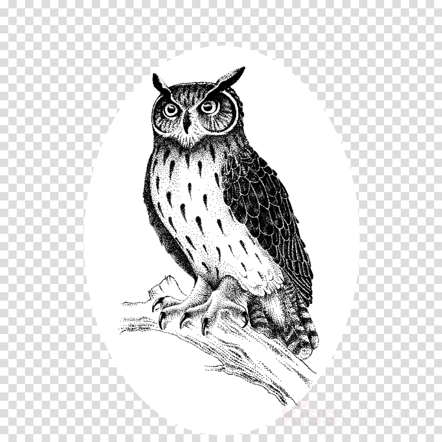 great horned owl clipart 10 free Cliparts | Download images on ...