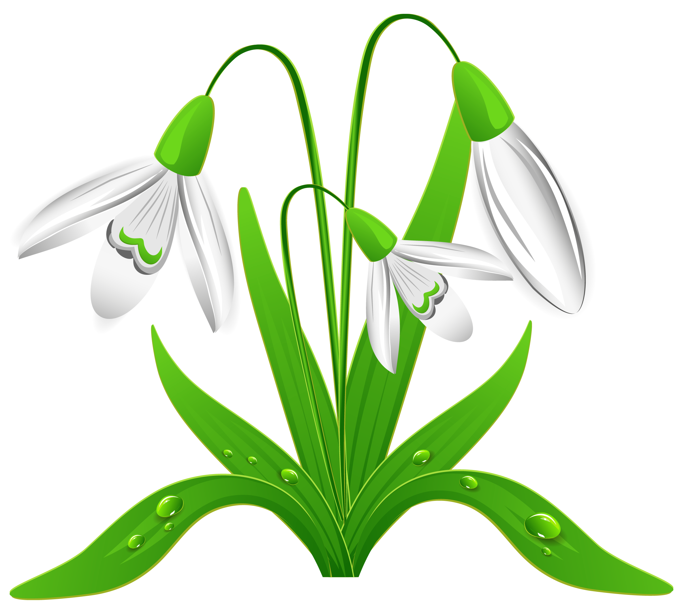 Snow flowers clipart 20 free Cliparts Download images on Clipground 2023