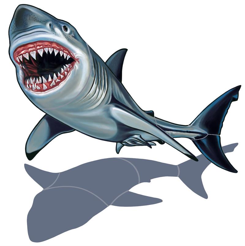 Great White Shark Clipart & Great White Shark Clip Art Images.