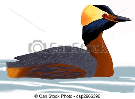Grebe Illustrations and Clipart. 103 Grebe royalty free.